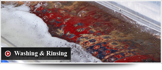 Washing & Rinsing