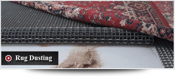 Step 2: Rug Dusting